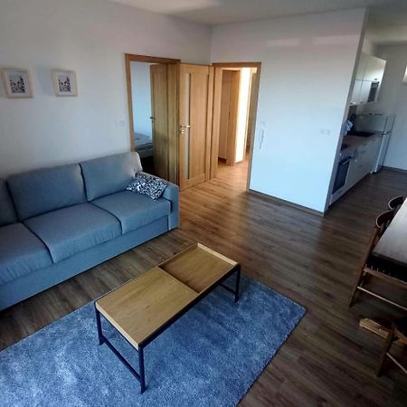 Apartman Violetta Nove Mesto nad Metuji Exterior photo