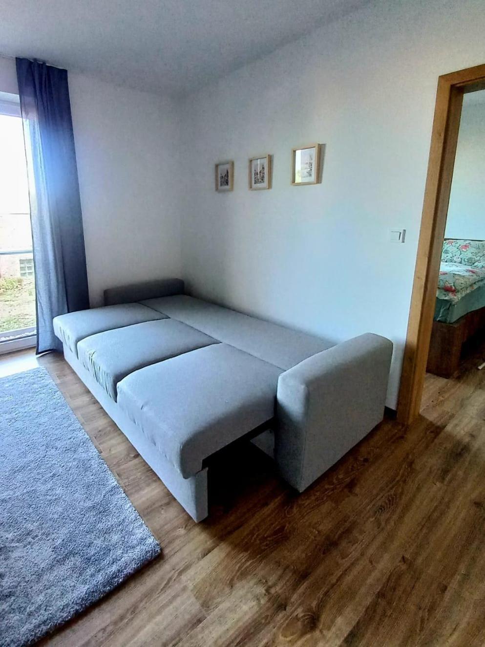 Apartman Violetta Nove Mesto nad Metuji Exterior photo